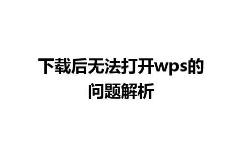 下载后无法打开wps的问题解析