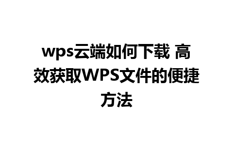 wps云端如何下载 高效获取WPS文件的便捷方法