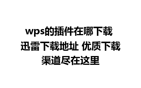 wps的插件在哪下载 迅雷下载地址 优质下载渠道尽在这里