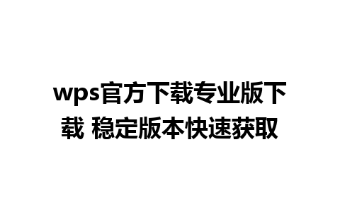 wps官方下载专业版下载 稳定版本快速获取