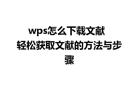 wps怎么下载文献  轻松获取文献的方法与步骤