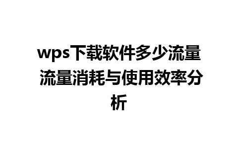 wps下载软件多少流量 流量消耗与使用效率分析