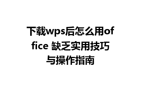 下载wps后怎么用office 缺乏实用技巧与操作指南