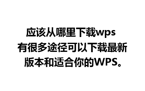 应该从哪里下载wps 有很多途径可以下载最新版本和适合你的WPS。