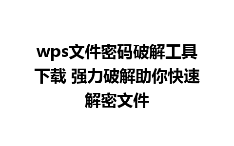 wps文件密码破解工具下载 强力破解助你快速解密文件