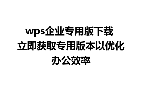 wps企业专用版下载 立即获取专用版本以优化办公效率