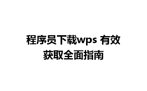 程序员下载wps 有效获取全面指南