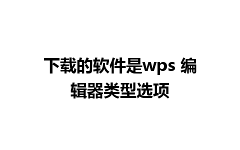 下载的软件是wps 编辑器类型选项