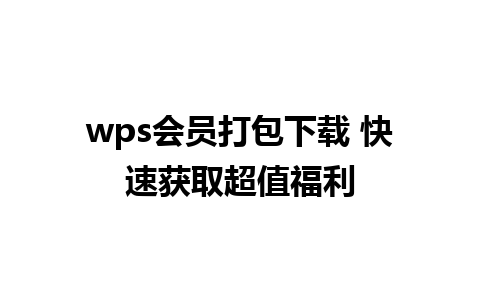 wps会员打包下载 快速获取超值福利