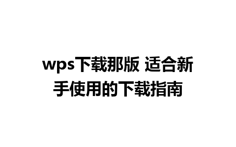 wps下载那版 适合新手使用的下载指南