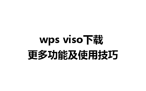 wps viso下载 更多功能及使用技巧