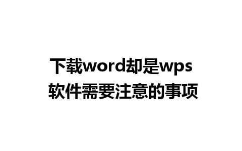 下载word却是wps 软件需要注意的事项