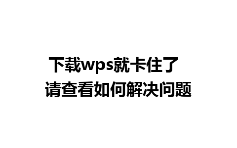 下载wps就卡住了  请查看如何解决问题