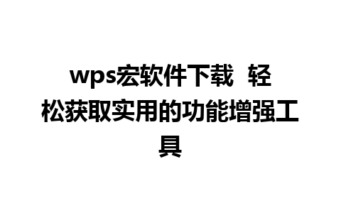 wps宏软件下载  轻松获取实用的功能增强工具