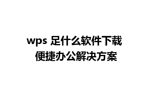 wps 足什么软件下载 便捷办公解决方案