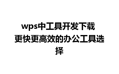 wps中工具开发下载 更快更高效的办公工具选择