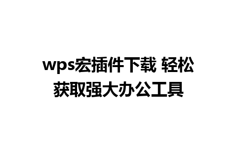 wps宏插件下载 轻松获取强大办公工具