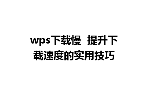 wps下载慢  提升下载速度的实用技巧