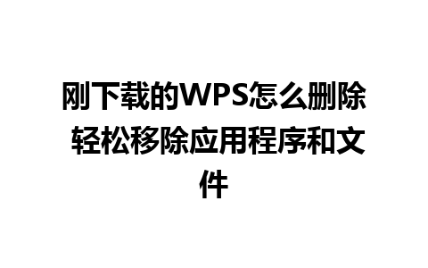 刚下载的WPS怎么删除 轻松移除应用程序和文件