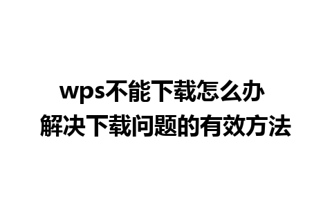 wps不能下载怎么办 解决下载问题的有效方法