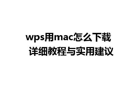 wps用mac怎么下载  详细教程与实用建议