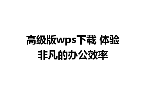  高级版wps下载 体验非凡的办公效率  
