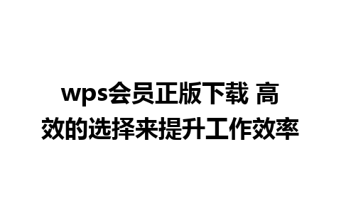 wps会员正版下载 高效的选择来提升工作效率