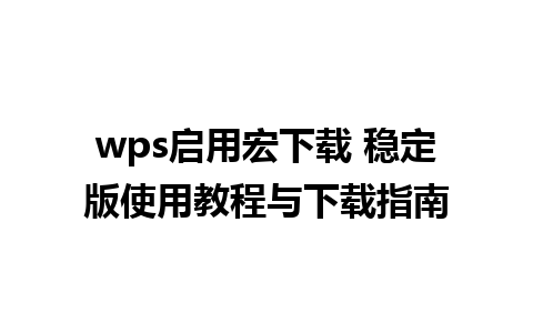 wps启用宏下载 稳定版使用教程与下载指南