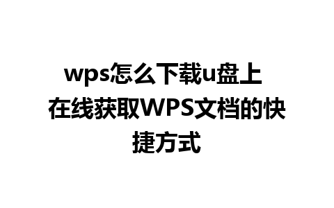 wps怎么下载u盘上 在线获取WPS文档的快捷方式