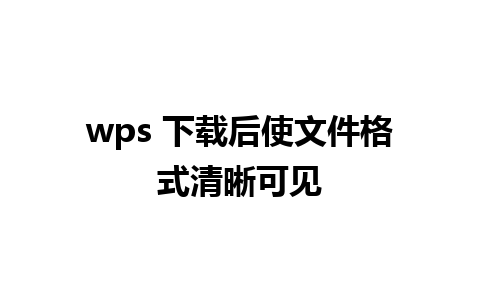 wps 下载后使文件格式清晰可见