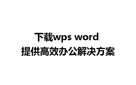 下载wps word 提供高效办公解决方案