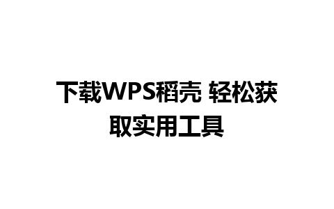 下载WPS稻壳 轻松获取实用工具