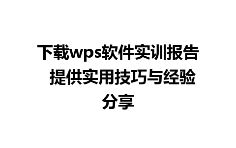 下载wps软件实训报告  提供实用技巧与经验分享