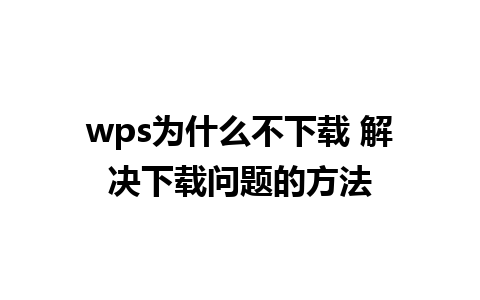 wps为什么不下载 解决下载问题的方法