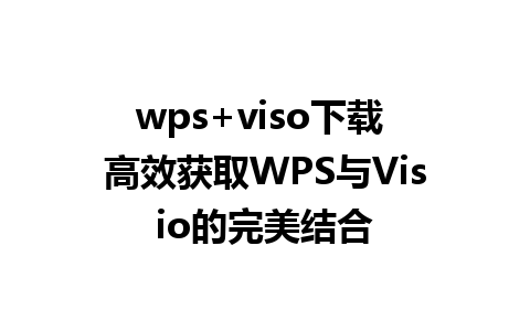 wps+viso下载 高效获取WPS与Visio的完美结合