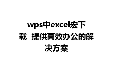 wps中excel宏下载  提供高效办公的解决方案