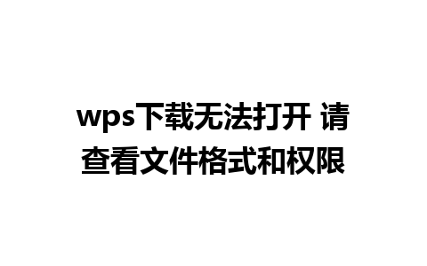 wps下载无法打开 请查看文件格式和权限