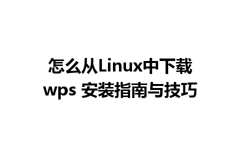 怎么从Linux中下载wps 安装指南与技巧