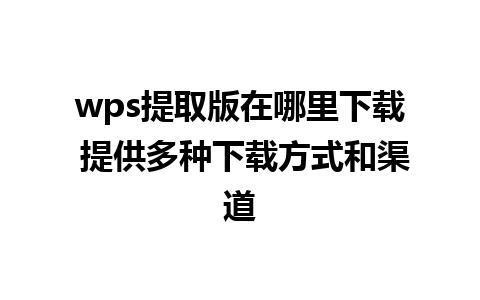 wps提取版在哪里下载 提供多种下载方式和渠道