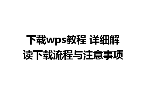 下载wps教程 详细解读下载流程与注意事项