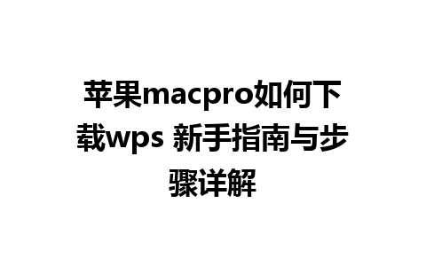 苹果macpro如何下载wps 新手指南与步骤详解