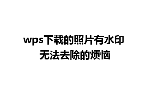 wps下载的照片有水印 无法去除的烦恼