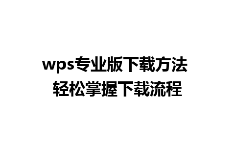 wps专业版下载方法 轻松掌握下载流程