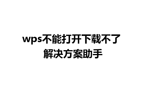 wps不能打开下载不了 解决方案助手