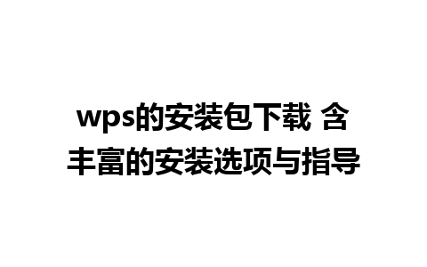 wps的安装包下载 含丰富的安装选项与指导