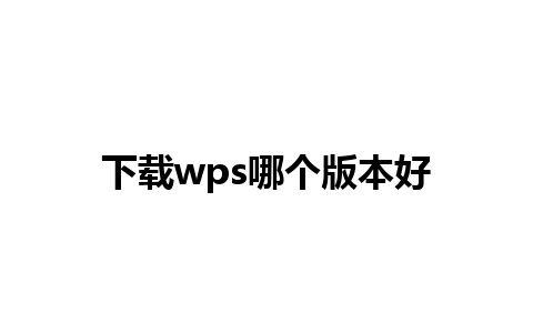 下载wps哪个版本好