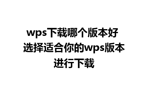 wps下载哪个版本好 选择适合你的wps版本进行下载