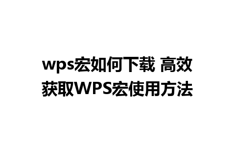 wps宏如何下载 高效获取WPS宏使用方法