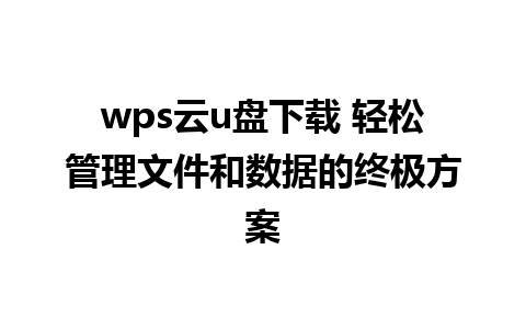 wps云u盘下载 轻松管理文件和数据的终极方案