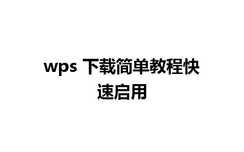 wps 下载简单教程快速启用